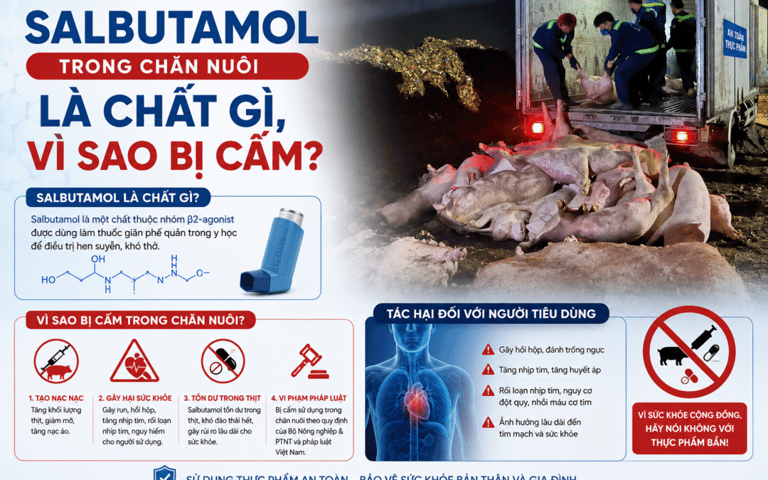 Salbutamol trong chăn nuôi là chất gì, vì sao bị cấm?
