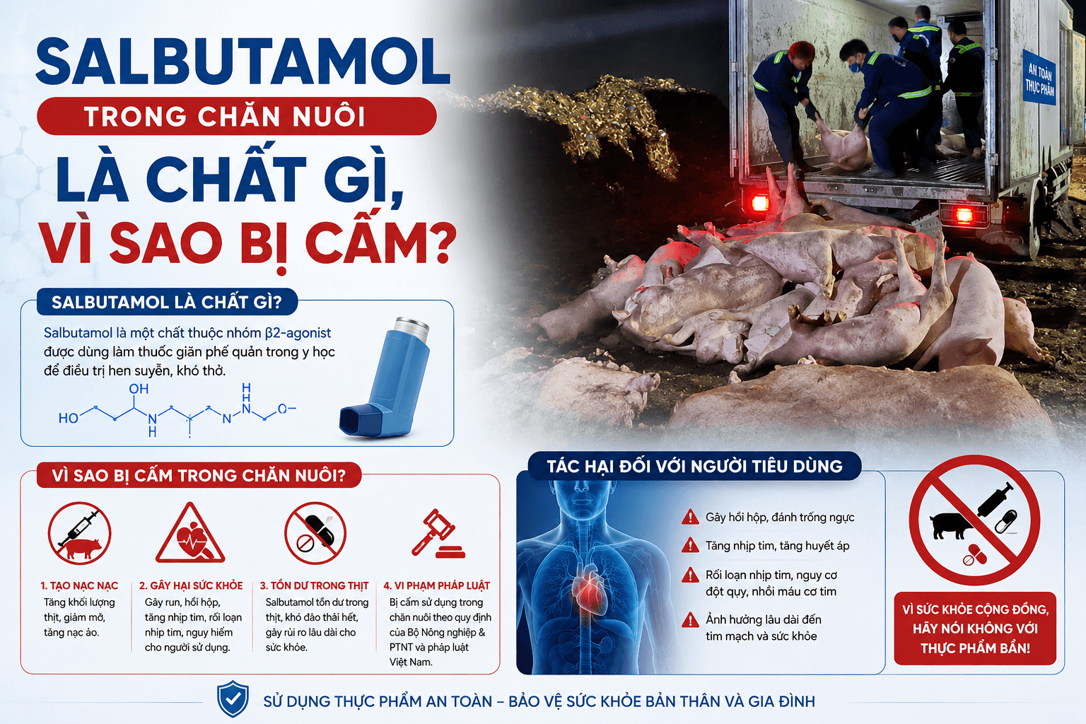 Salbutamol trong chăn nuôi là chất gì, vì sao bị cấm Salbutamol trong chăn nuôi là chất gì, vì sao bị cấm