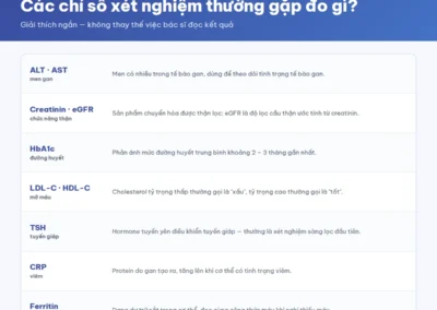Giải thích các chỉ số xét nghiệm máu thường gặp ALT AST Creatinin eGFR HbA1c LDL HDL TSH CRP Ferritin đo cái gì