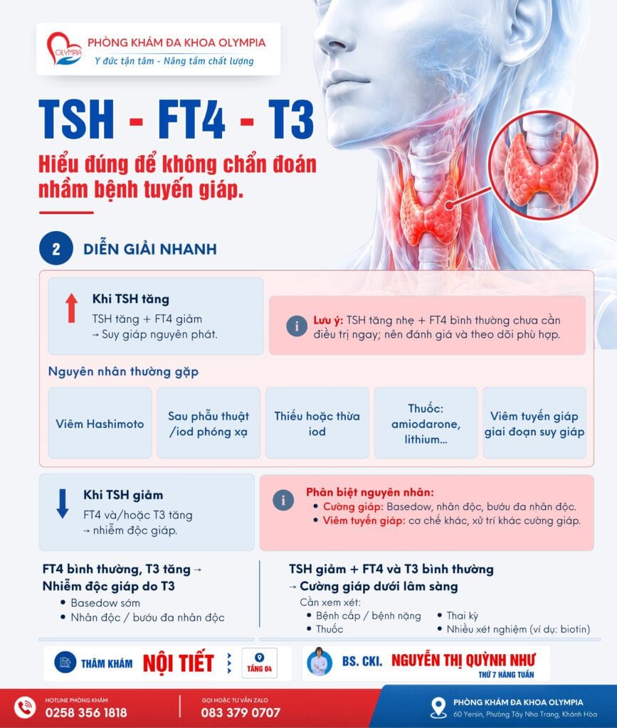 2 TSH - FT4 - T3