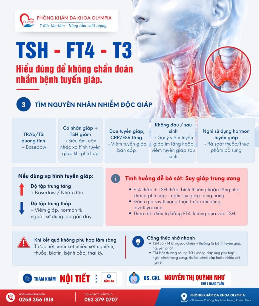 3 TSH - FT4 - T3