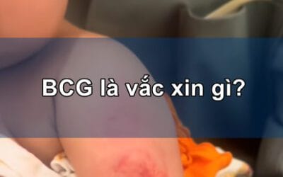 BCG là vắc xin gì?