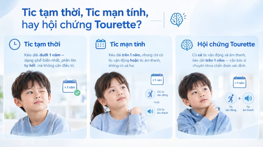 Sơ đồ phân biệt tic tạm thời, tic mạn tính và hội chứng Tourette