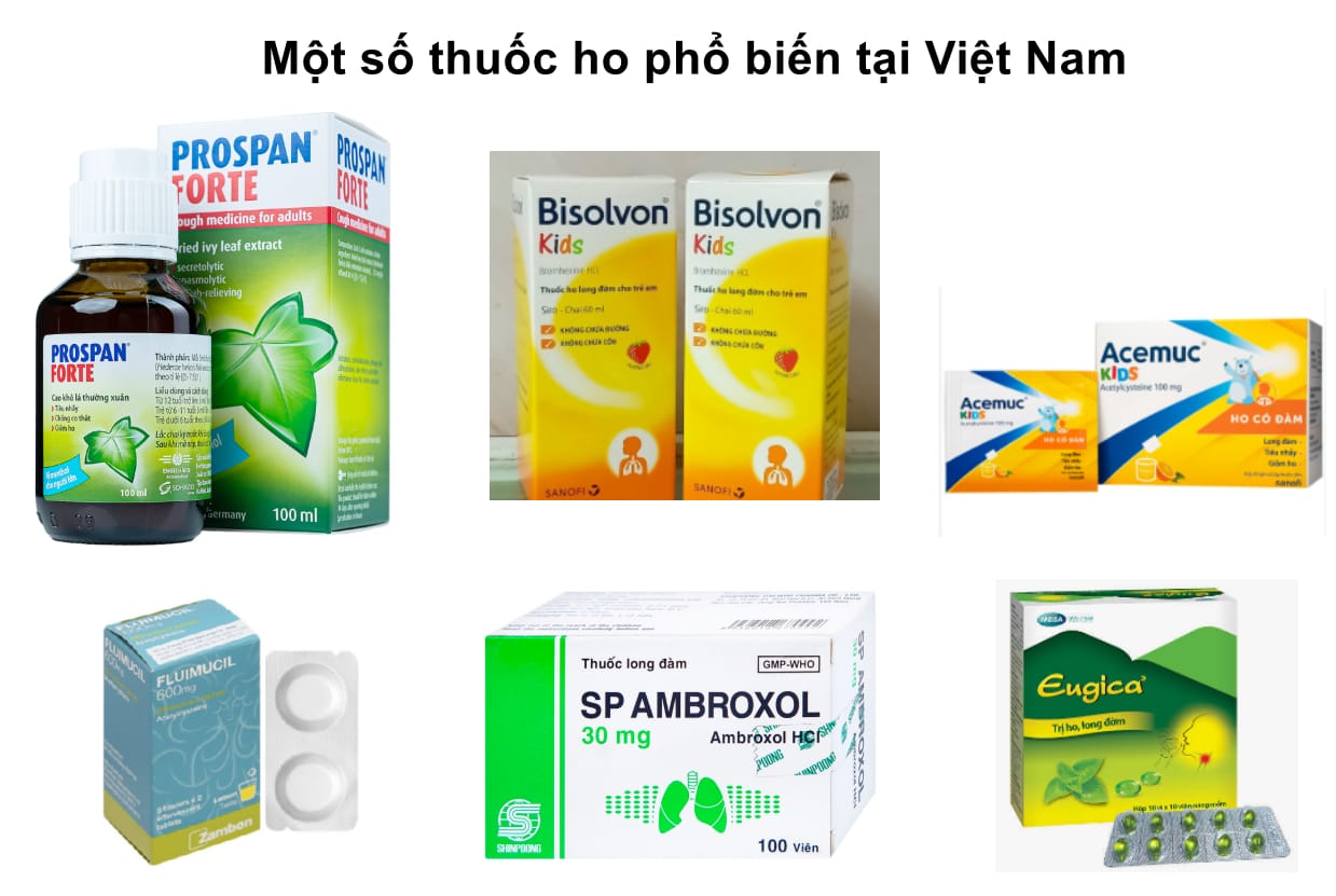 một số thuốc ho phổ biến tại việt nam một số thuốc ho phổ biến tại việt nam