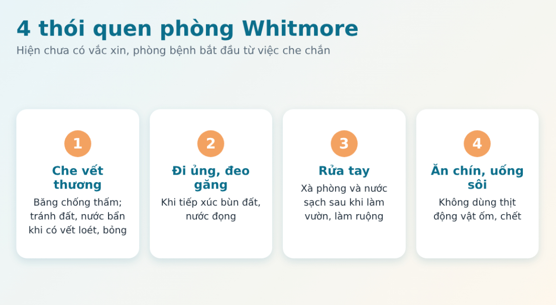 Phòng ngừa Whitmore: đi ủng, đeo găng tay, che vết thương, ăn chín uống sôi