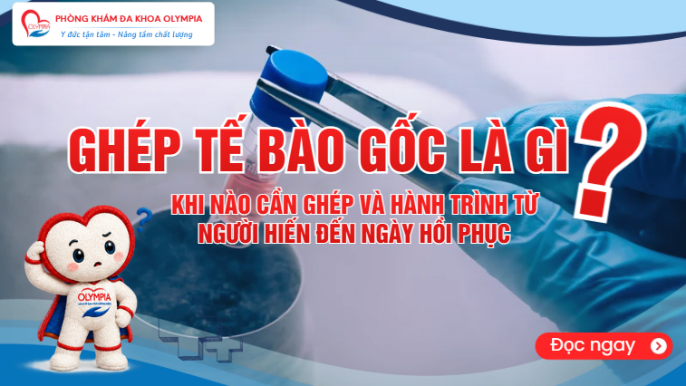 Ghép tế bào gốc là gì