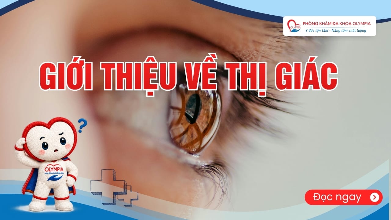 Giới thiệu về thị giác