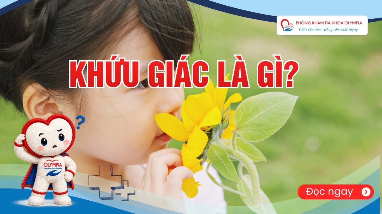 KHỨU GIÁC LÀ GÌ