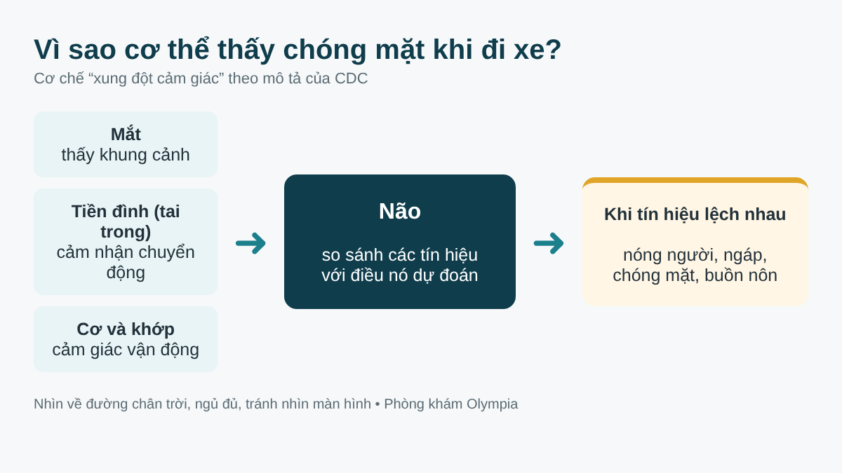 Sơ đồ cơ chế say xe: mắt, hệ tiền đình và cảm giác vận động gửi tín hiệu lên não