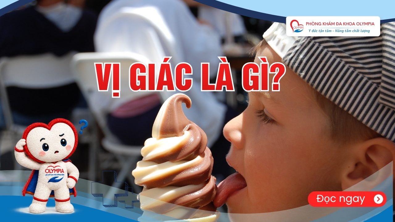 vị giác là gì